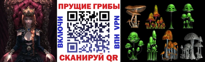 Купить  Верхний Тагил  Галлюциногенные грибы Psilocybine cubensis 